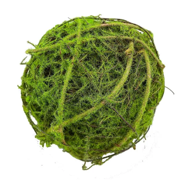 Focal Points^Liberty Floral 6.5" Ba Moss Ball