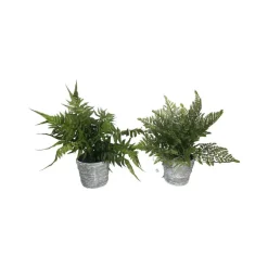 Floral Decor^RAZ 17