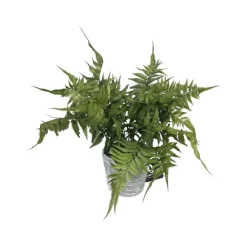 Focal Points^RAZ 17" Potted Fern