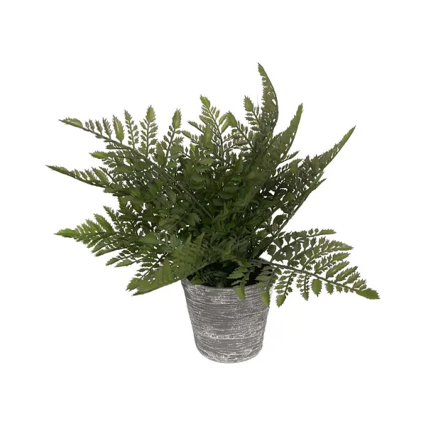 Focal Points^RAZ 17" Potted Fern