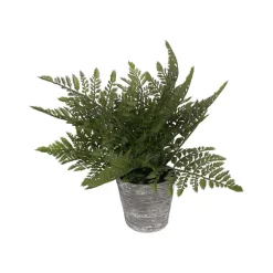 Faux Plants^RAZ 17