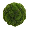 Focal Points^Direct Export Co. Artificial Moss Orb