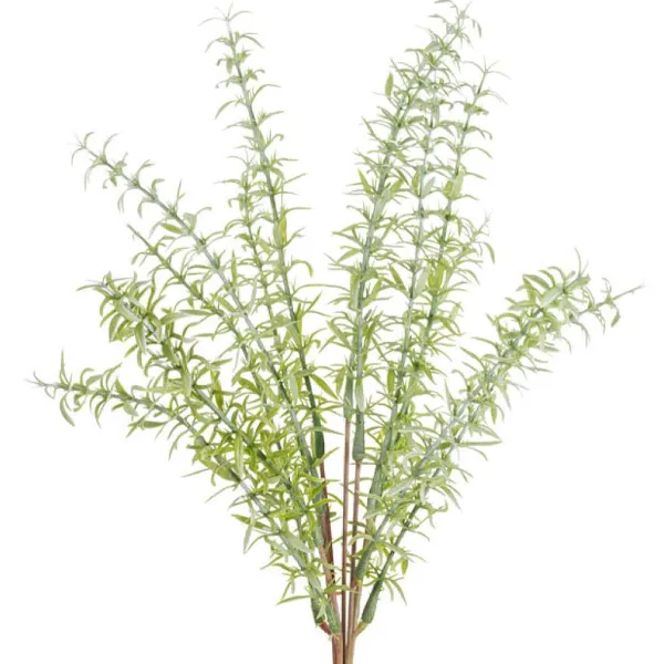 Floral Decor^CRI Asparagus Fern Bundle