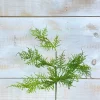 Spring^CRI Asparagus Fern Spray