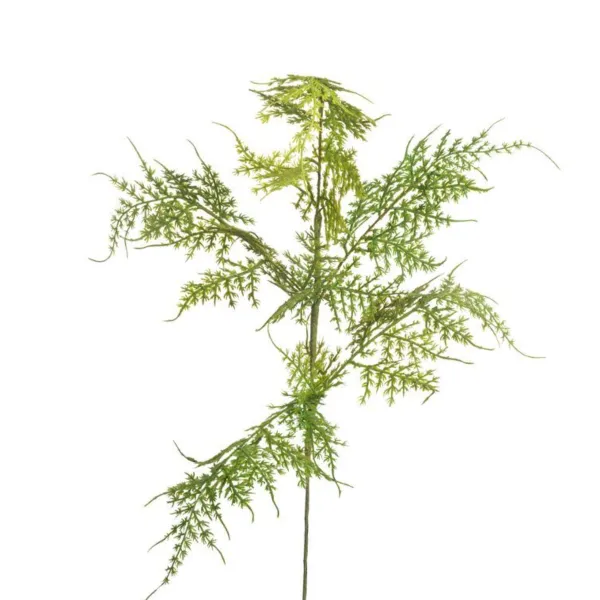 Floral Decor^CRI Asparagus Fern Spray