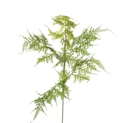 Spring Sprays^CRI Asparagus Fern Spray