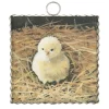 Wall Decor^The Round Top Collection Baby Chick Mini Gallery Art