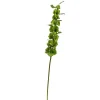 Spring^Winward Bells Of Ireland