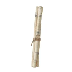 Home Accents^RAZ Birch Stick Bundle, 26"