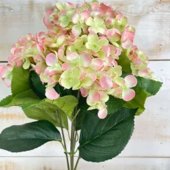 Floral Decor^CRI Blush And Green Hydrangea Bush