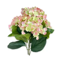 Sprays^CRI Blush And Green Hydrangea Bush