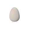 Home Accents^180 Degrees Blush Flocked Eggs