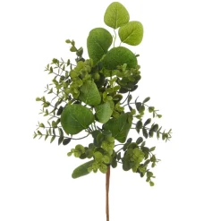 Greenery^RAZ Boxwood And Eucalyptus Pick