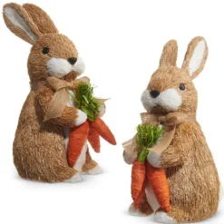 Focal Points^RAZ Bunny With Carrots