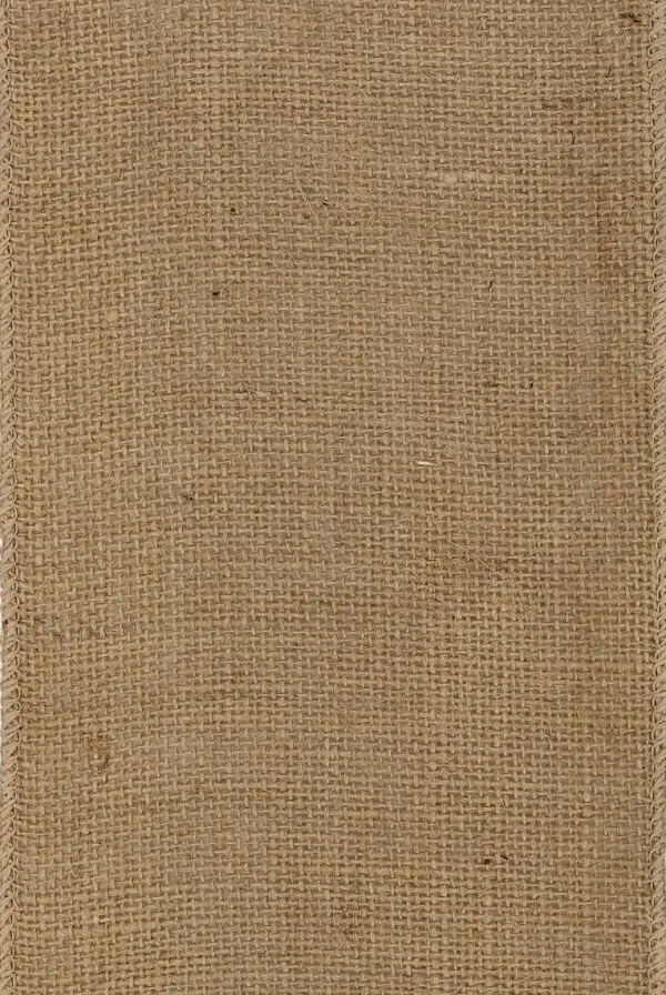 Ribbon^D. Stevens Burlap Ribbon, 6"X10Yd