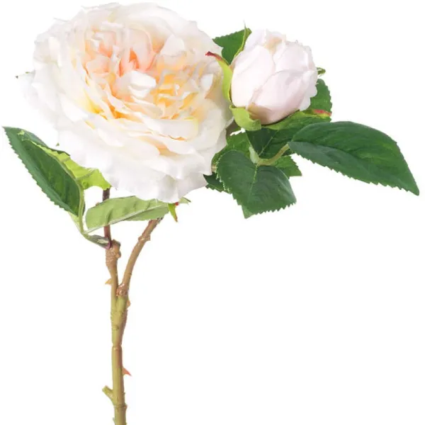 Floral Decor^CRI Cabbage Rose Pick, Cream