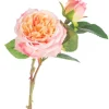 Spring Picks^CRI Cabbage Rose Pick, Salmon