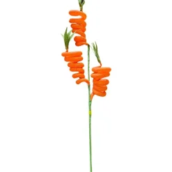 Sprays^Liberty Floral Carrot Spring Spray