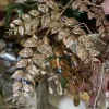 Floral^Regency Champagne Fern Spray