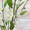 Floral Decor^CRI Cherry Blossom, Cream