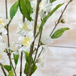 Floral Decor^CRI Cherry Blossom, Cream