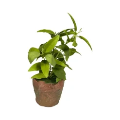 Faux Plants^Regency Clay Pot With Herbs