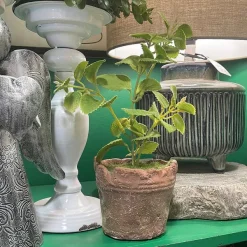 Faux Plants^Regency Clay Pot With Herbs
