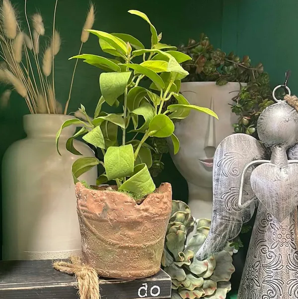 Table Decor^Regency Clay Pot With Herbs