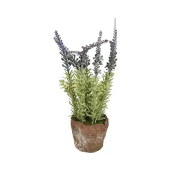 Table Decor^Regency Clay Pot With Herbs