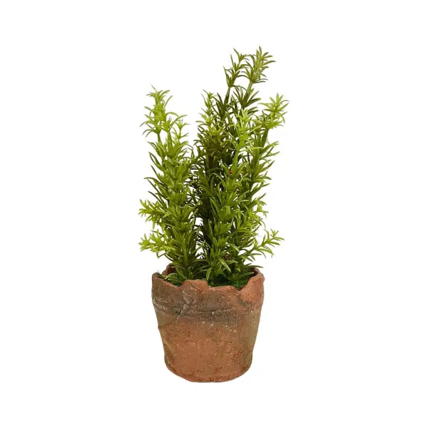 Table Decor^Regency Clay Pot With Herbs