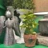 Spring^Regency Clay Pot With Herbs