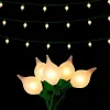 Lights^RAZ Connectable Matte Kismet String Light, 14'