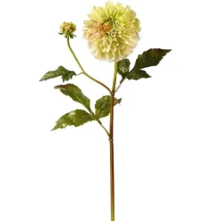 Spring^Winward Dahlia Stem, Light Green