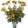 Floral^CRI Daisy Bundle