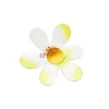 Table Decor^The Round Top Collection Daisy Magnet