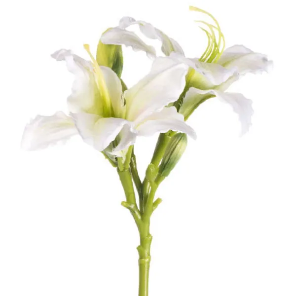 Spring Sprays^CRI Daylily Spray