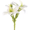Floral^CRI Daylily Spray