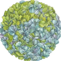 Party Diy^Hester & Cook Die Cut Hydrangea Placemat Sheets