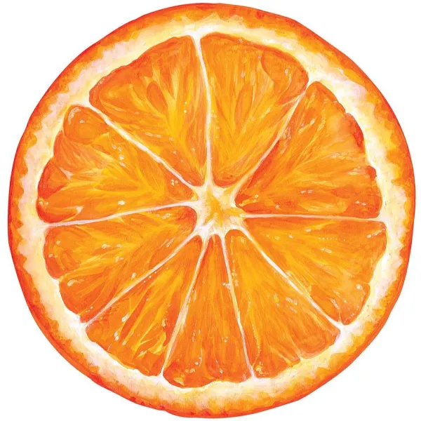 Party Diy^Hester & Cook Die Cut Orange Slice Placemat Sheets