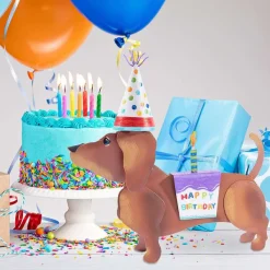 Celebrate Birthday^The Round Top Collection Dress Up Pet, Birthday Costume