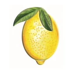 Focal Points^Craig Bachman Embossed Watercolor Lemon