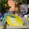 Table Decor^Craig Bachman Embossed Watercolor Lemon