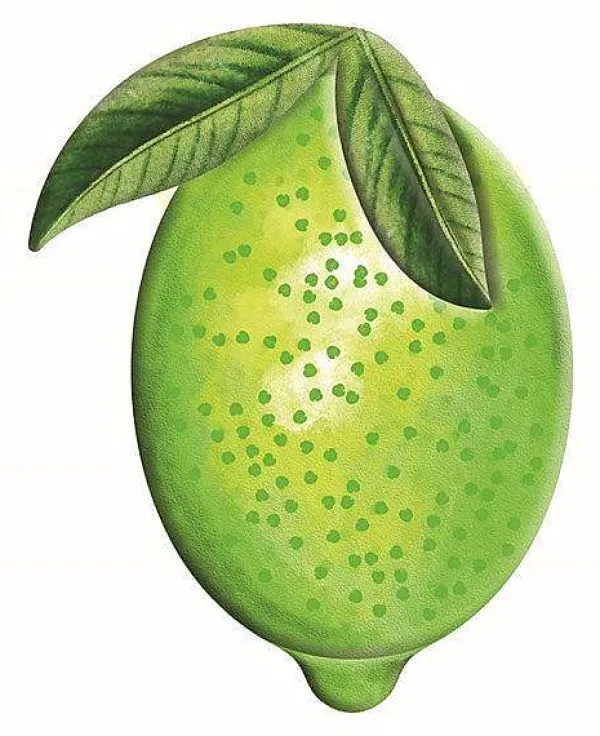 Signs^Craig Bachman Embossed Watercolor Lime