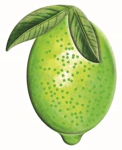 Wall Decor^Craig Bachman Embossed Watercolor Lime