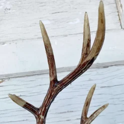 Floral^Liberty Floral Faux Antler Spray