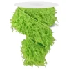 Ribbon^Craig Bachman Furry Lime Ribbon, 2.5" X 10Yd