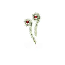 Floral^Regency Glitter Curled Grass Ball Spray