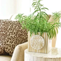 Decorative Containers^Happy Everything Gold Mini Stripe Medium Nesting Cube By !