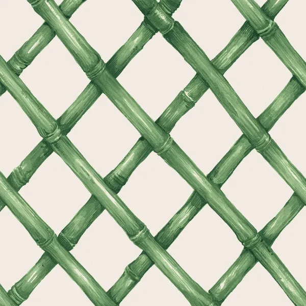 Party Diy^Hester & Cook Green Lattice Cocktail Napkin Set