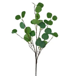 Floral Decor^Liberty Floral Green Silver Dollar Eucalyptus Spray